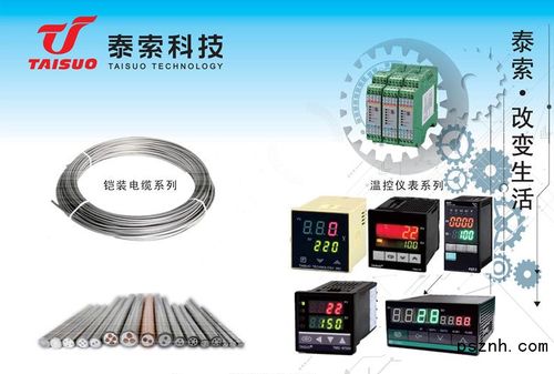 浙江泰索科技 智能感知驅(qū)動未來，物聯(lián)網(wǎng)科技點亮行業(yè)革新