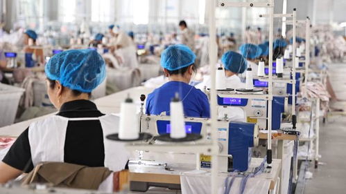 夏津 要素 服務 雙輪驅動 為企業創新發展賦能